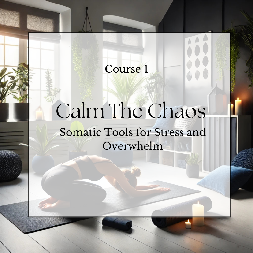 Course 1: Calm the Chaos: Somatic Tools for Stress and Overwhelm