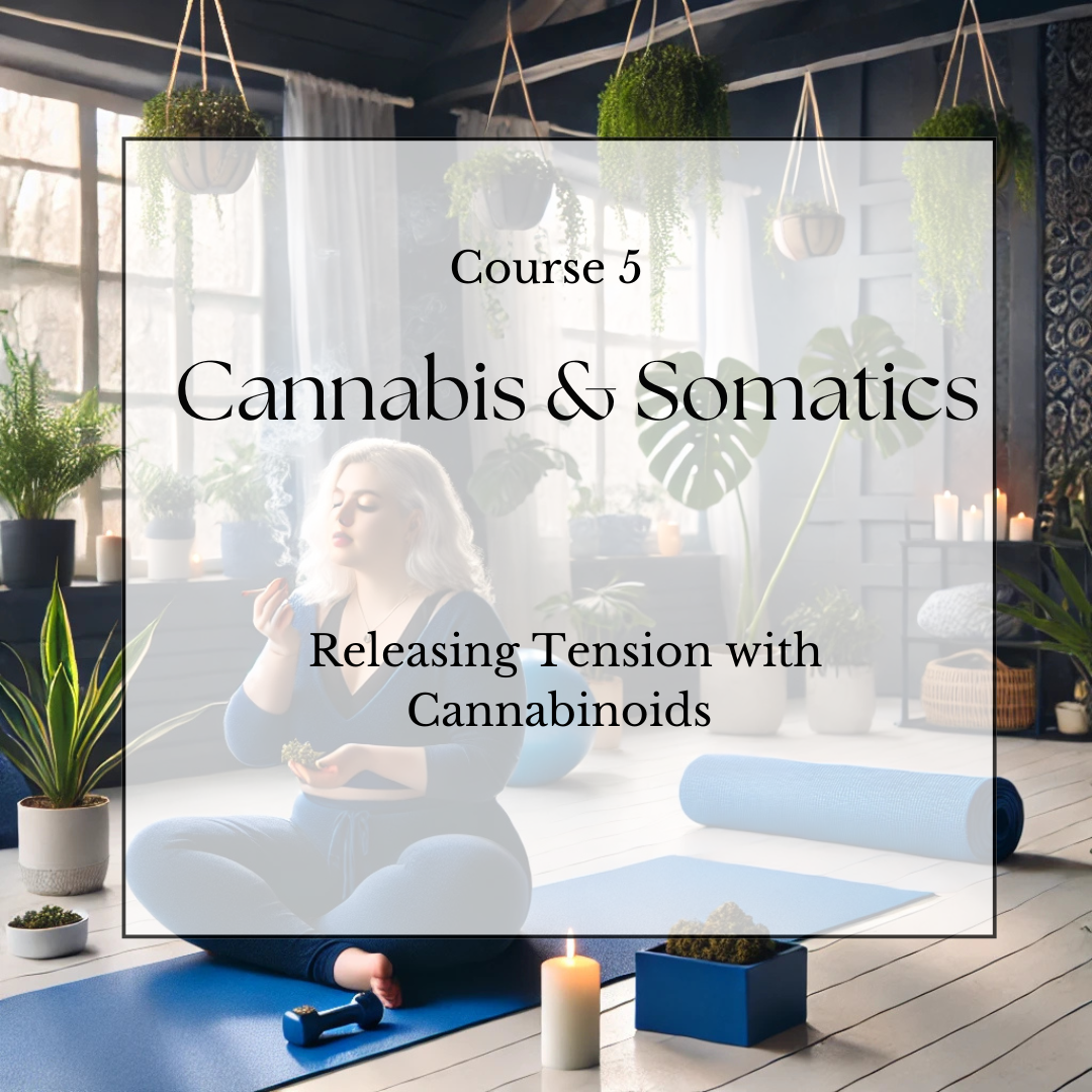 Course 5: Cannabis & Somatics: Releasing Tension with Cannabinoids