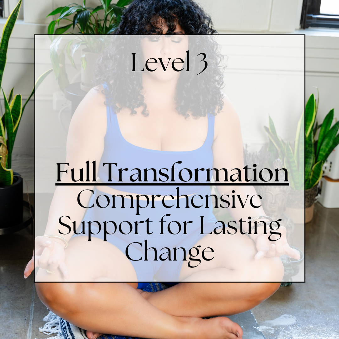 Level 3: Full Transformation – Comprehensive Support for Lasting Change